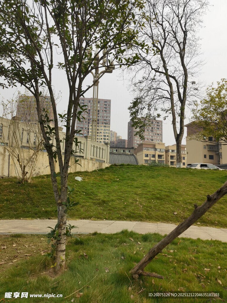 古老建筑旁的树木与草地