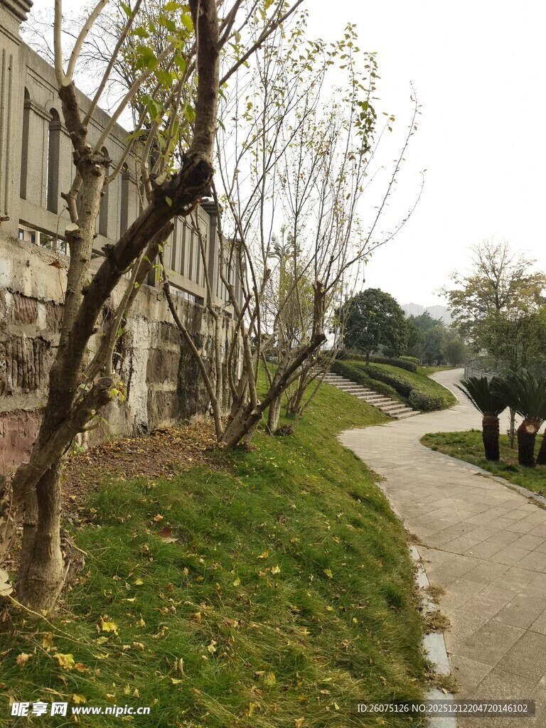 秋日小径旁的树木与建筑