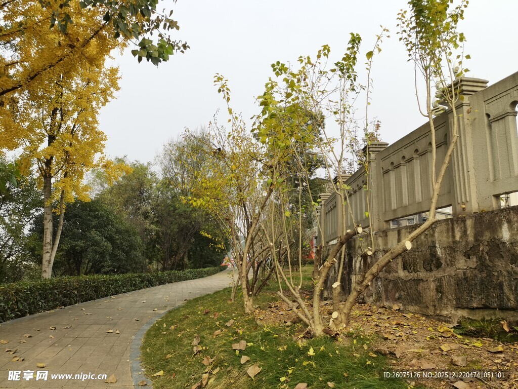 秋日小径旁的建筑景致