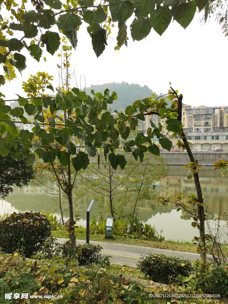 湖畔绿植环绕的优美景致