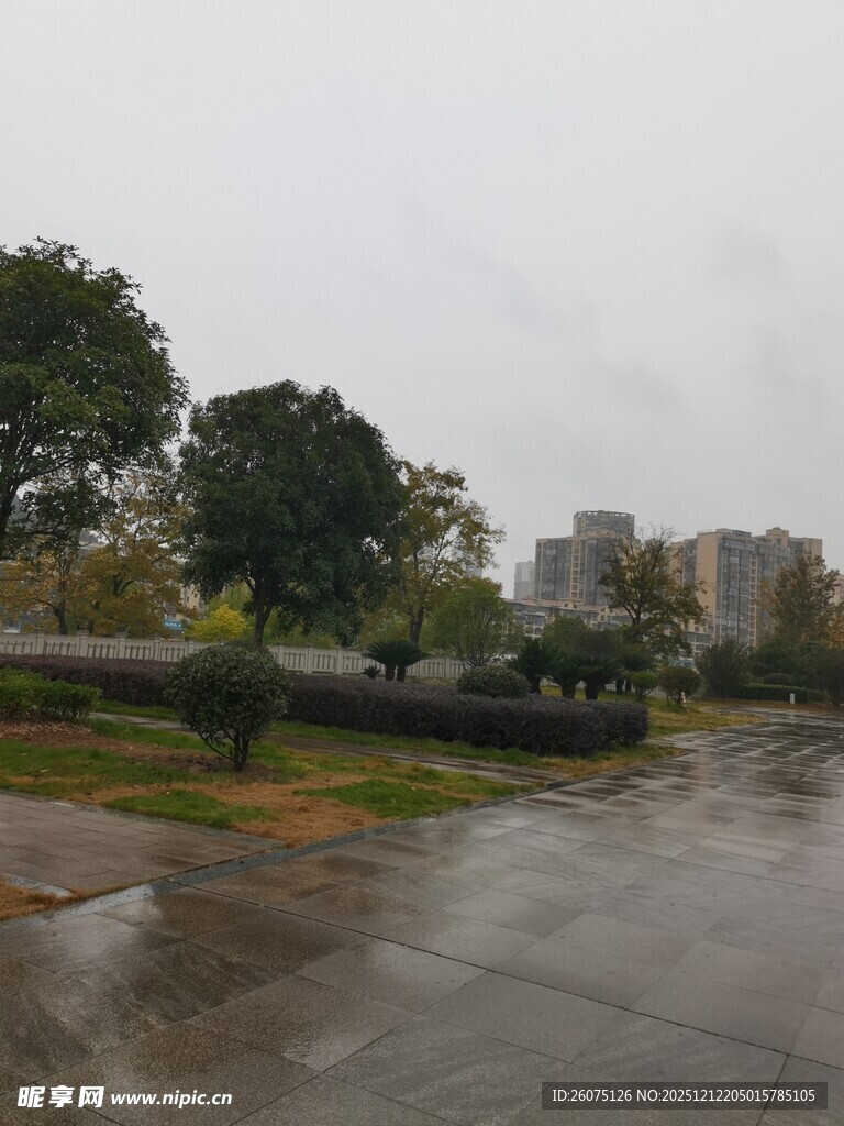 雨中公园场景