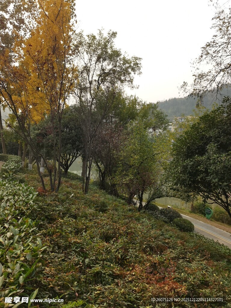 秋日山林间的蜿蜒小径