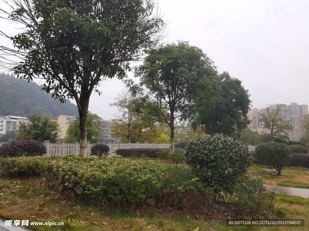 户外园林景观绿植场景