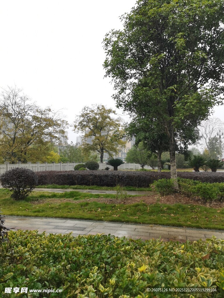 雨中静谧的园林景观