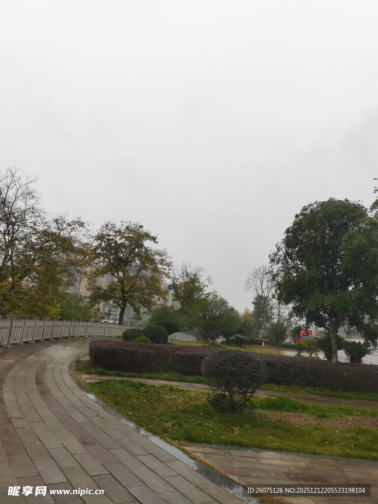 雨中蜿蜒的乡村石板路