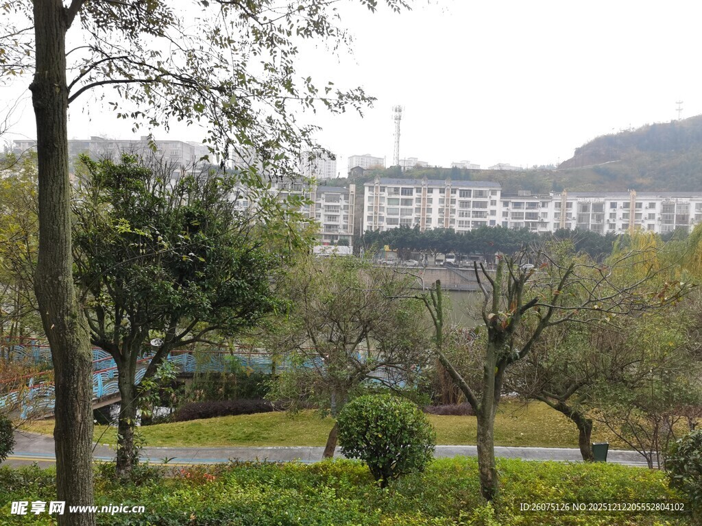 城市公园中的绿植与建筑景观