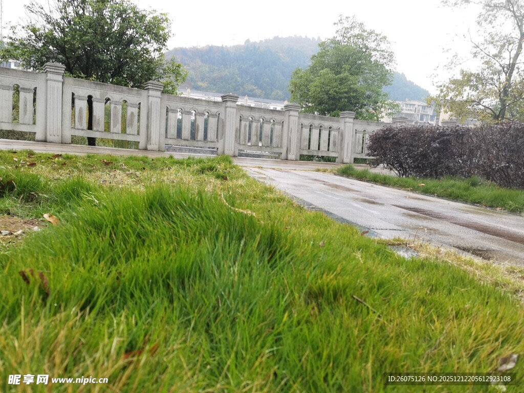 乡村路旁草地与围栏景观