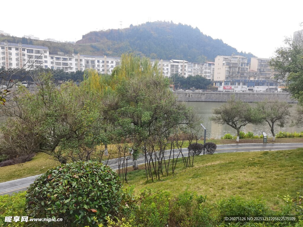 城郊绿意盎然的休闲景致