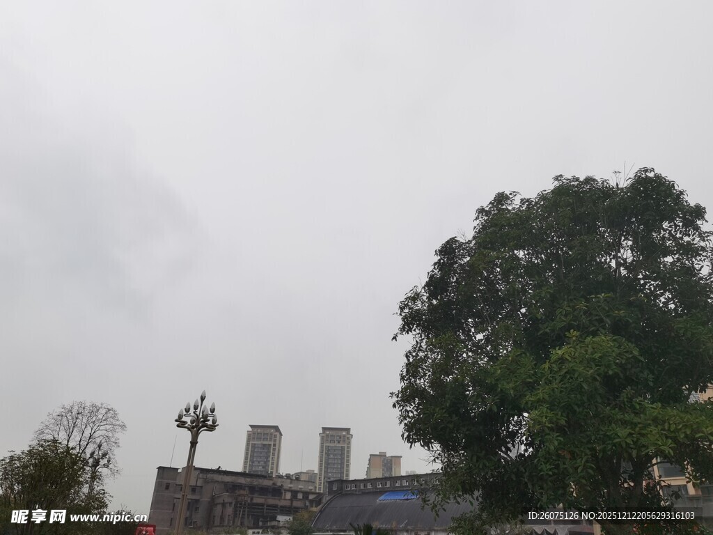 阴天城市与树木景观