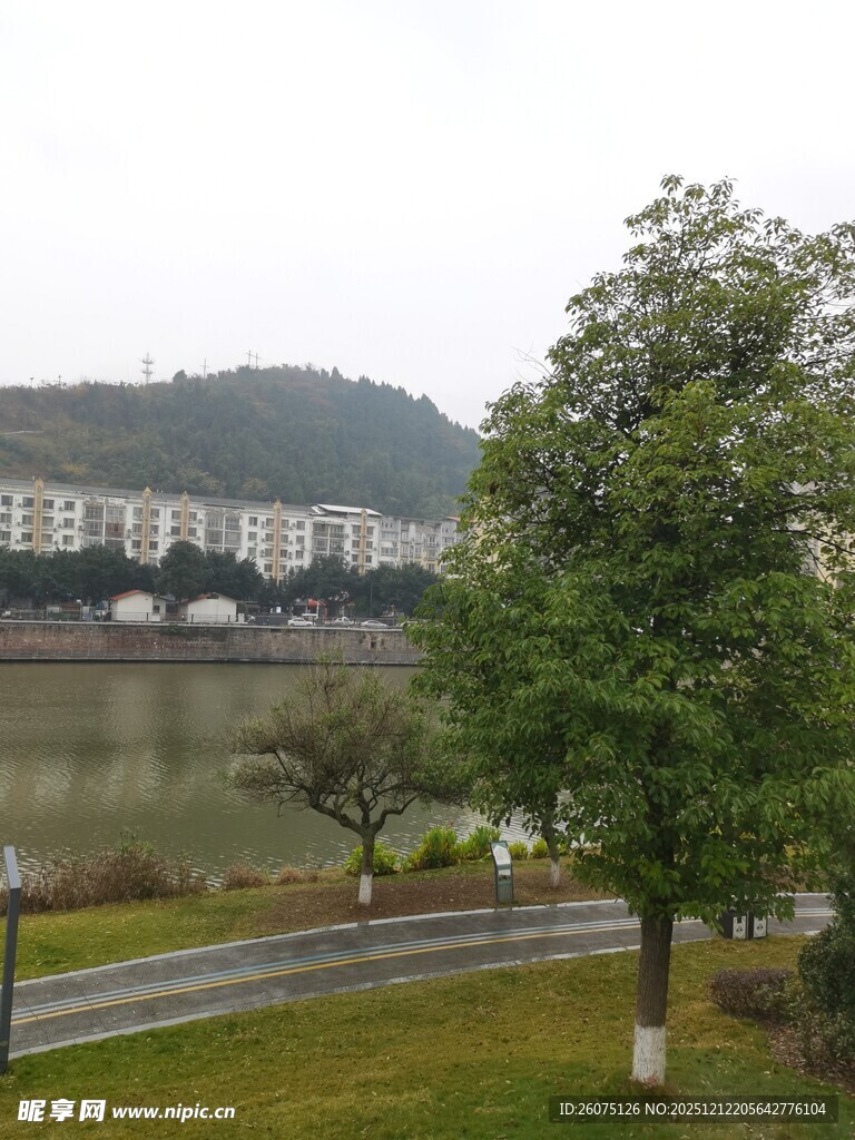 湖畔绿树旁的城市建筑景观