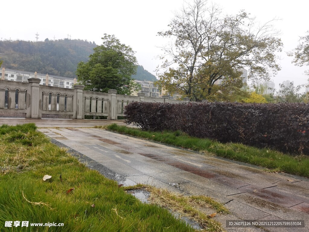 雨后乡间小道与围墙景观