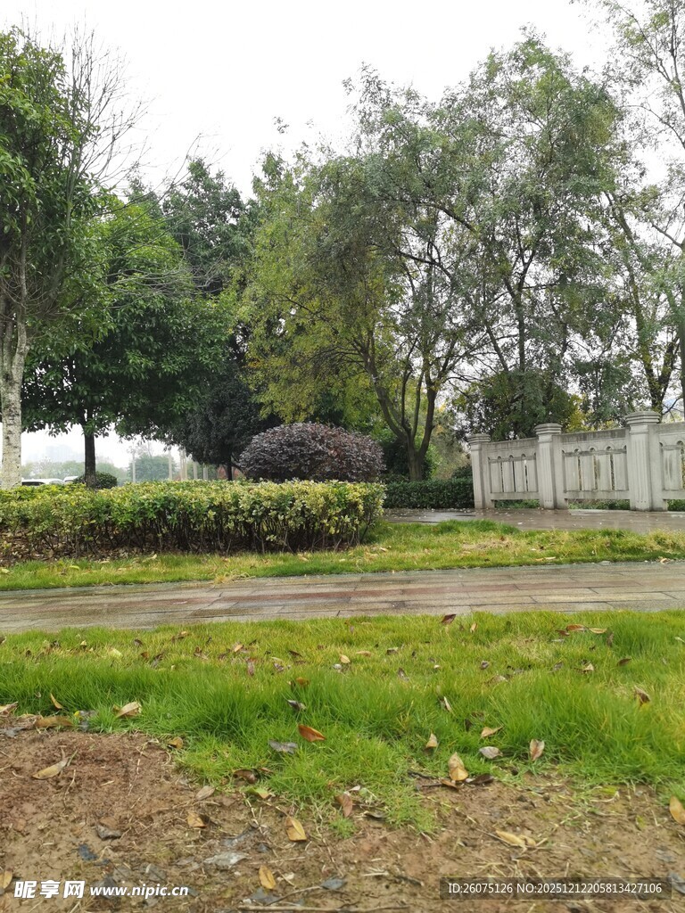 户外绿意盎然的园林景观