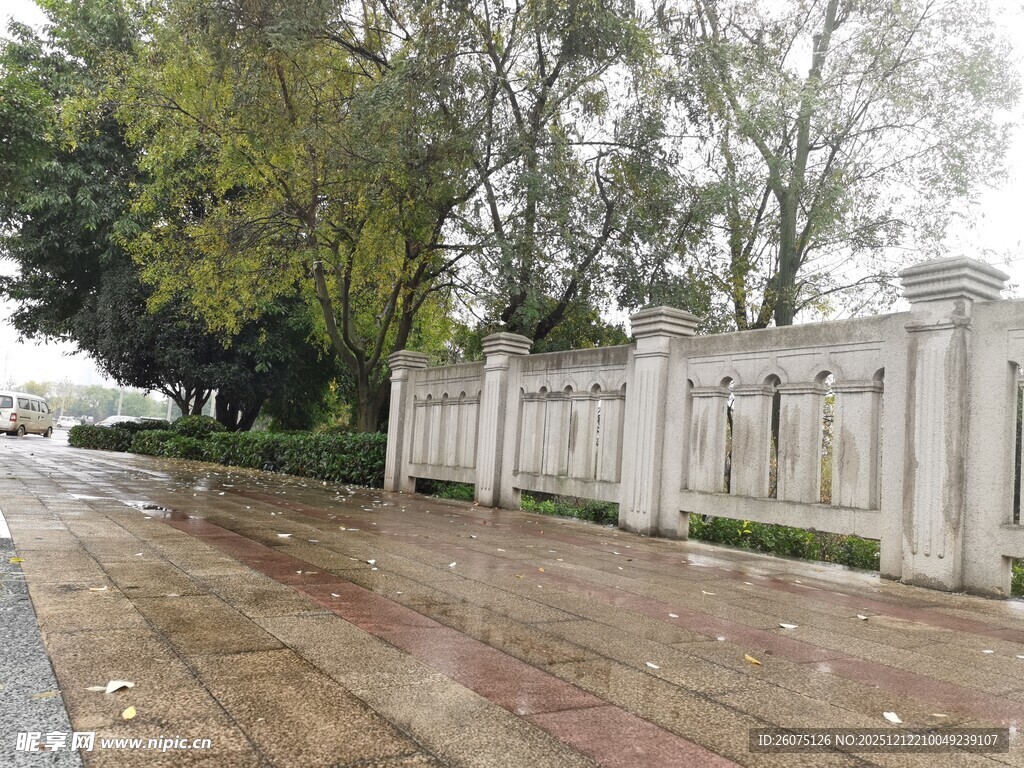 雨中的围墙与树木