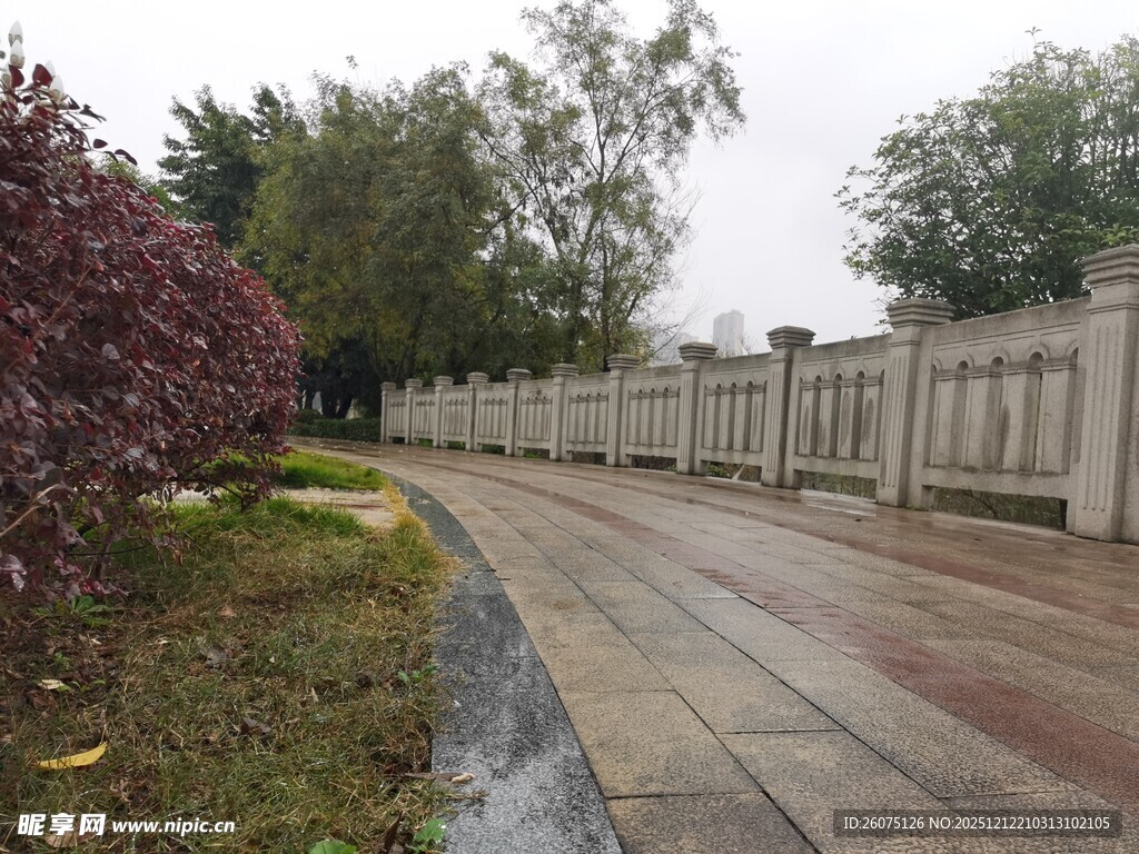 雨后公园小道景观