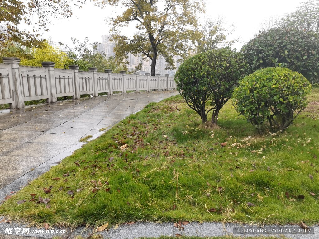 雨后庭院绿植景观
