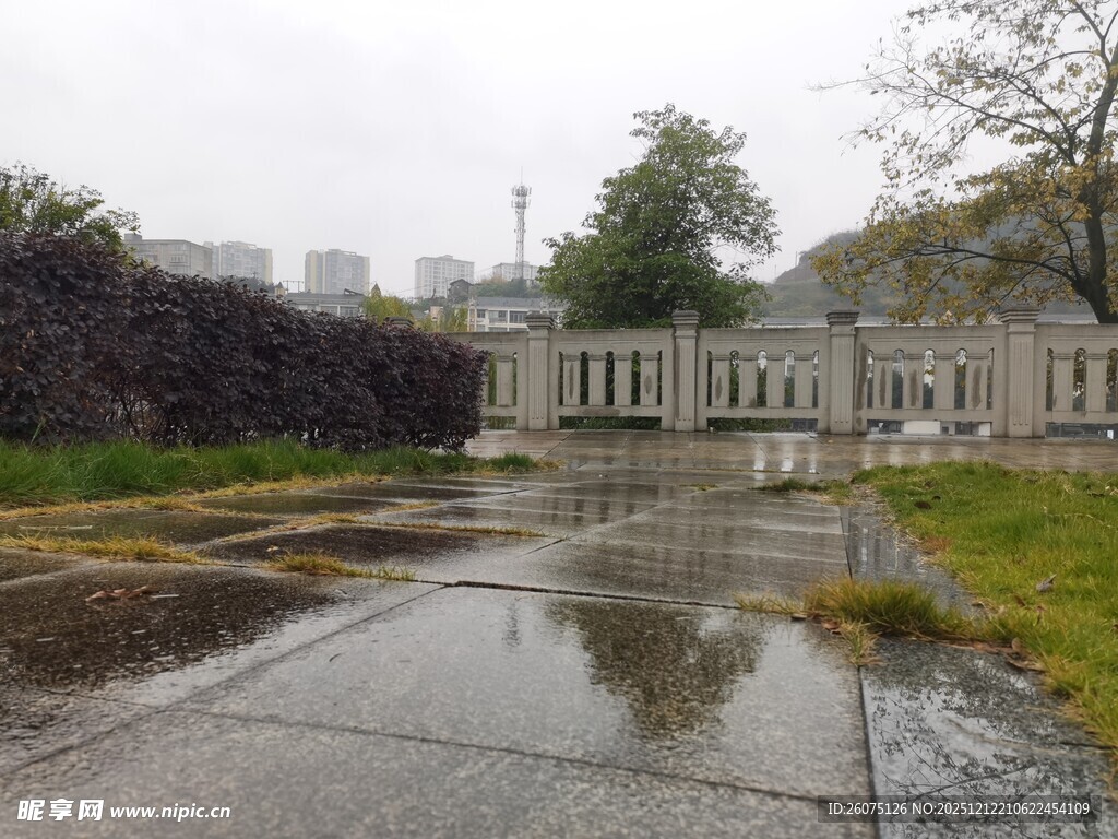 雨后校园湿润景致