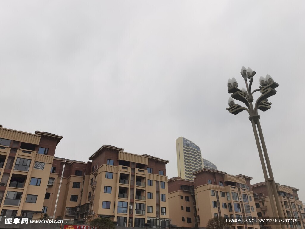 城市住宅区旁的高耸路灯