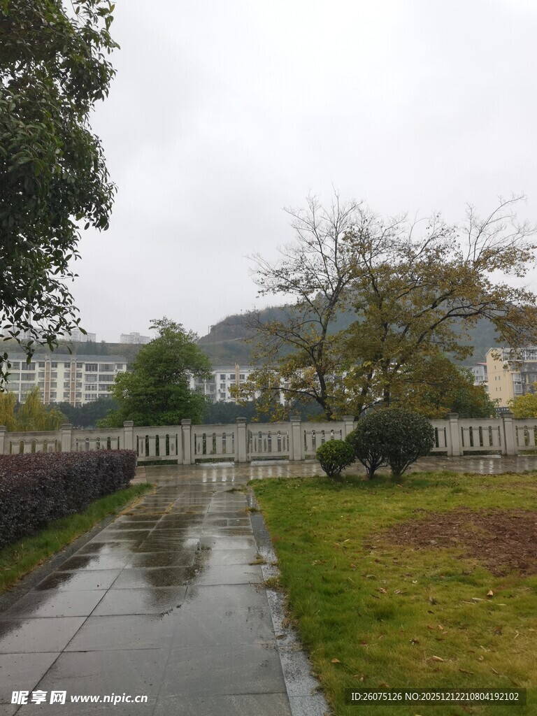 雨后湿润的户外景致