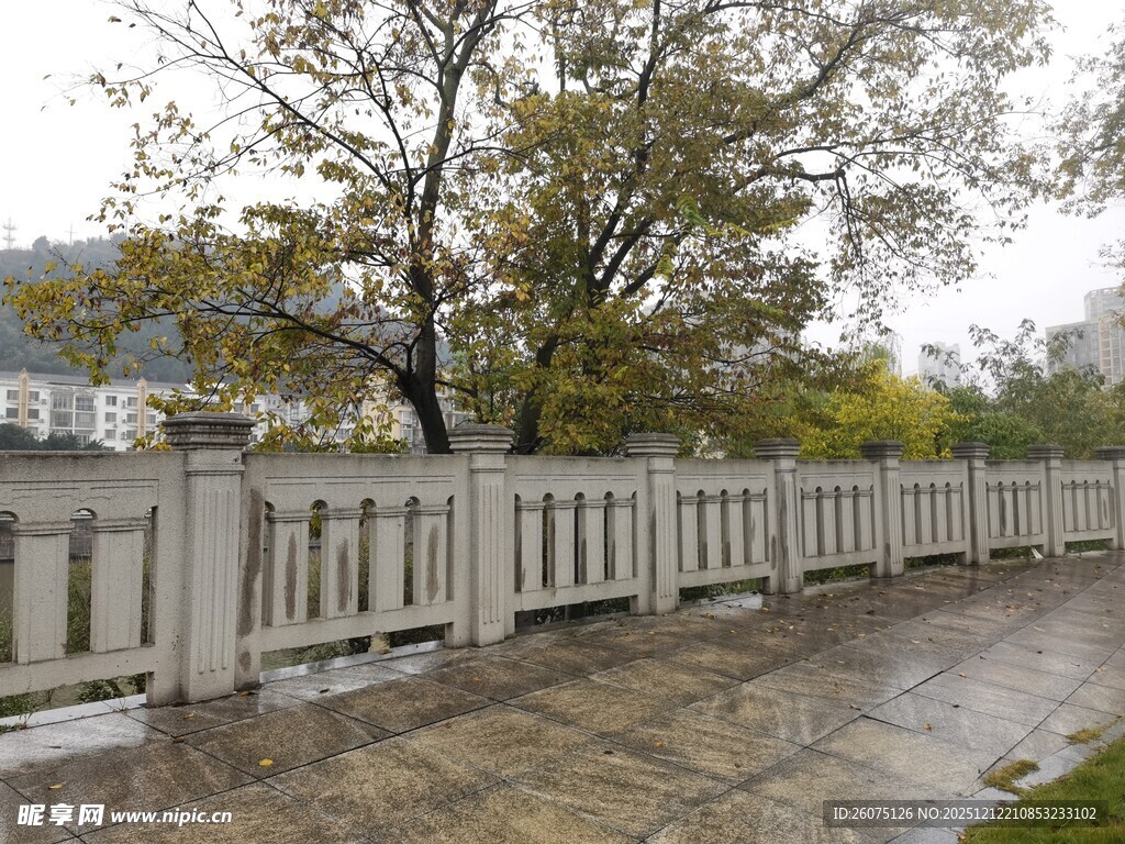 雨中围栏与树木景观