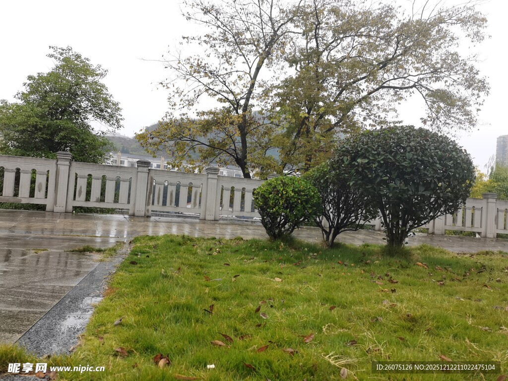 雨后公园景致