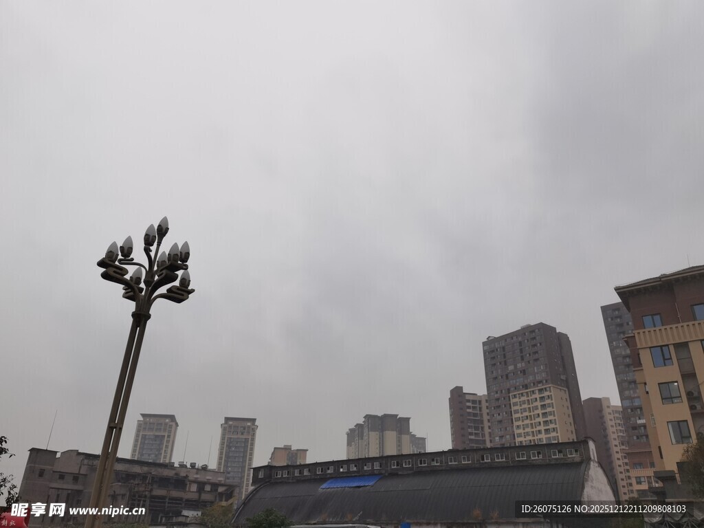 城市中高耸的奇特路灯