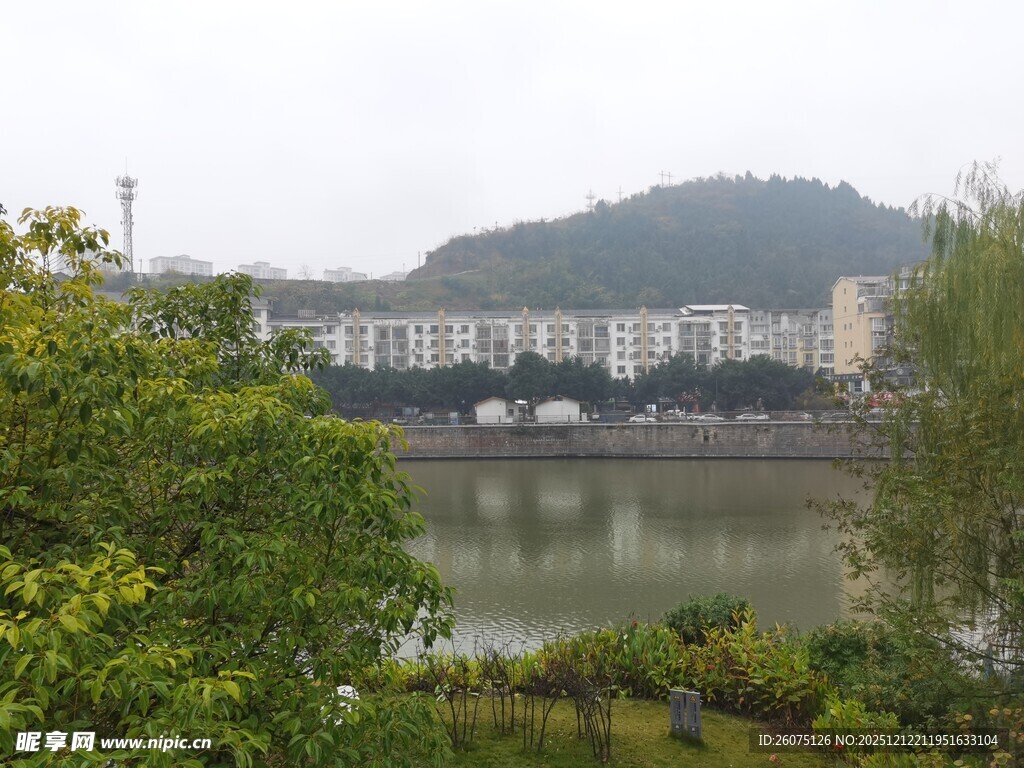 河畔绿树环绕的城市景致