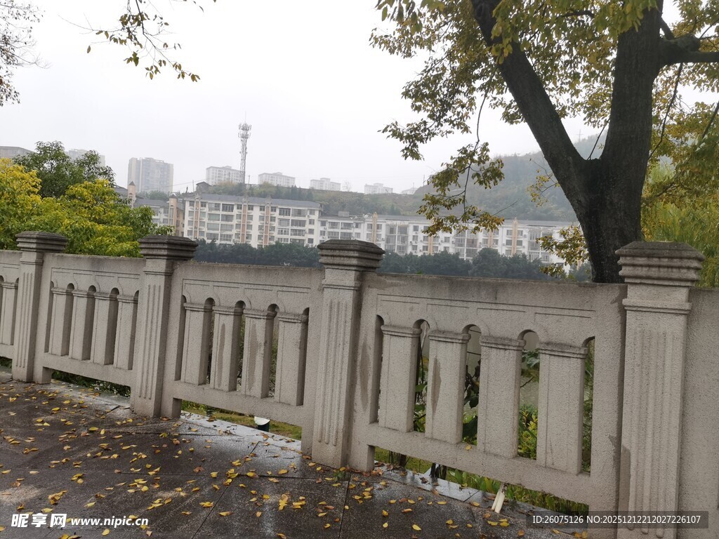 秋日围栏旁的静谧景致