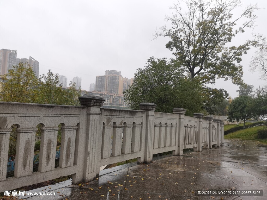雨中木桥静谧公园景致