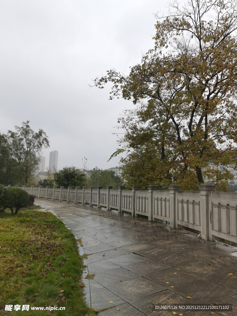 雨后湿润的户外小道景观