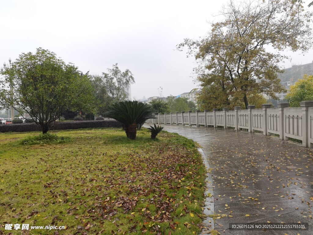 雨中漫步的静谧园林小道