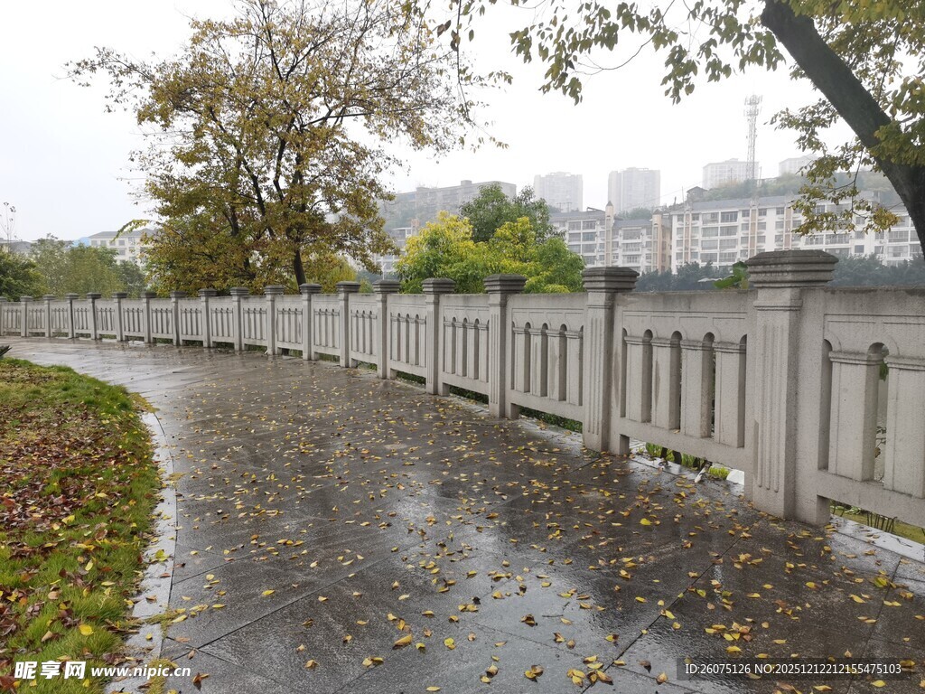 雨后湿润的公园小径