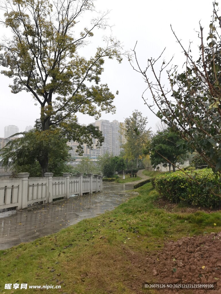 雨中静谧的乡村小道景色