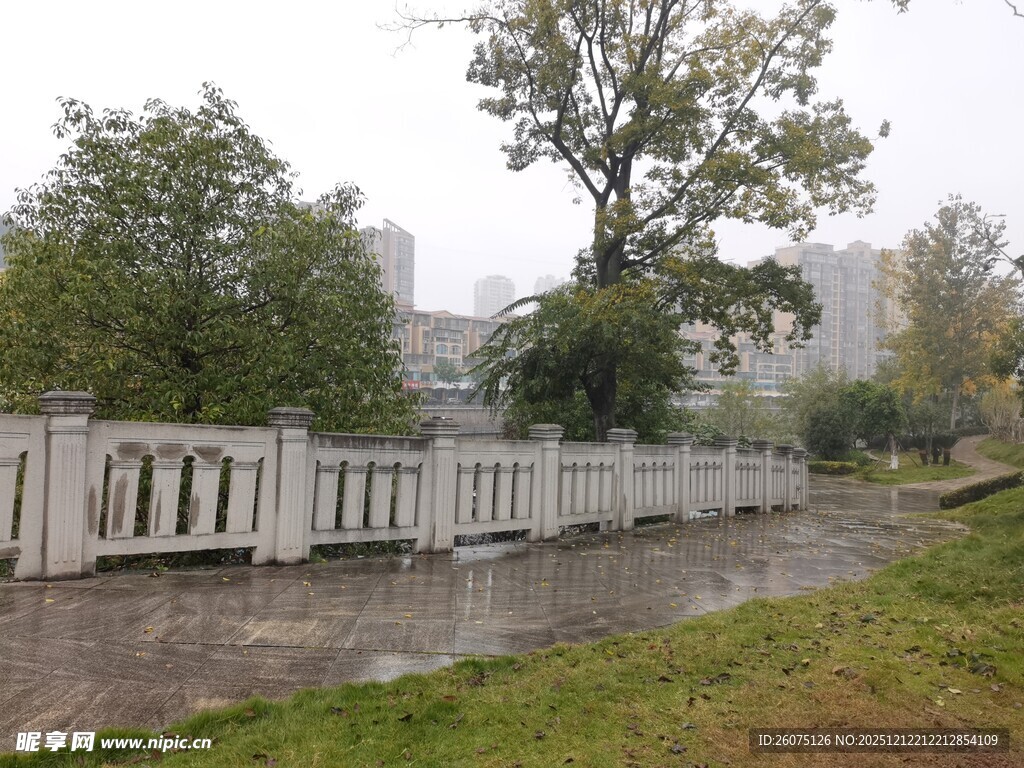 雨中河畔围栏与树木景观
