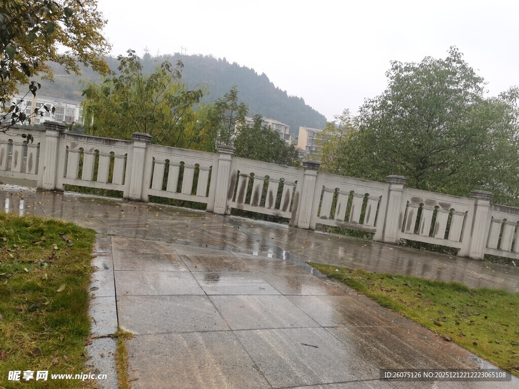 雨中桥景清新自然氛围