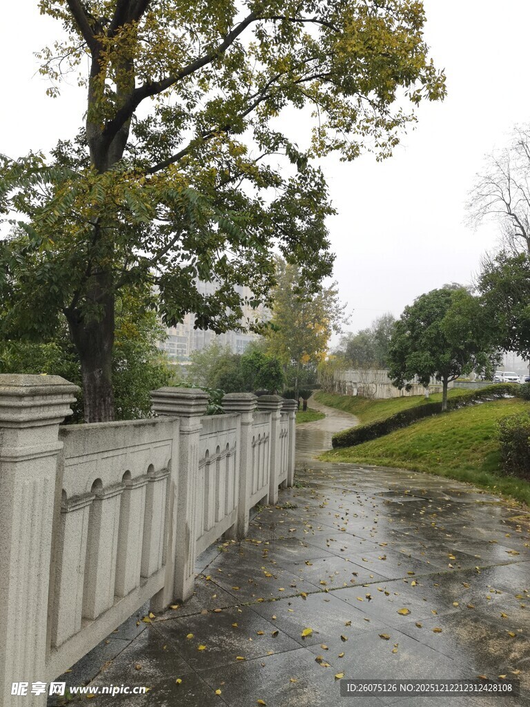 雨中湿径旁的围栏与大树