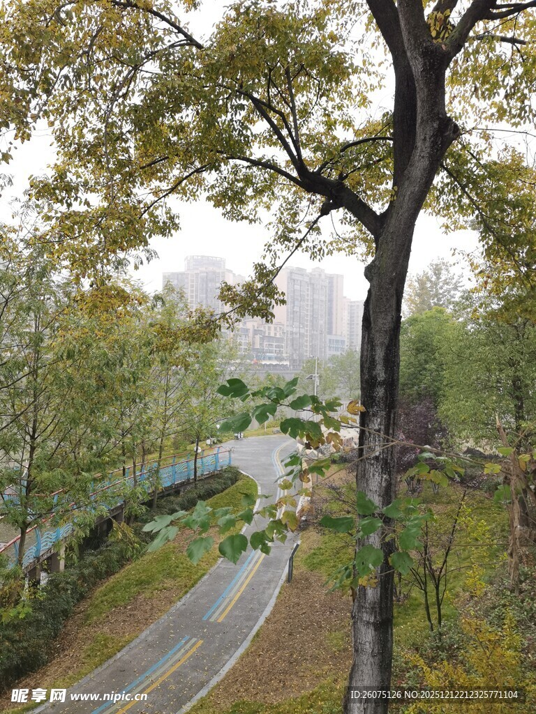 林间蜿蜒公路秋景如画