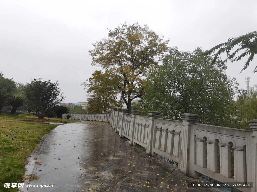 雨后乡间小道景色