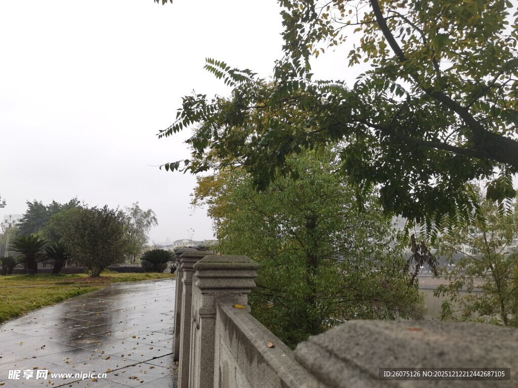 雨后湿润的户外景致