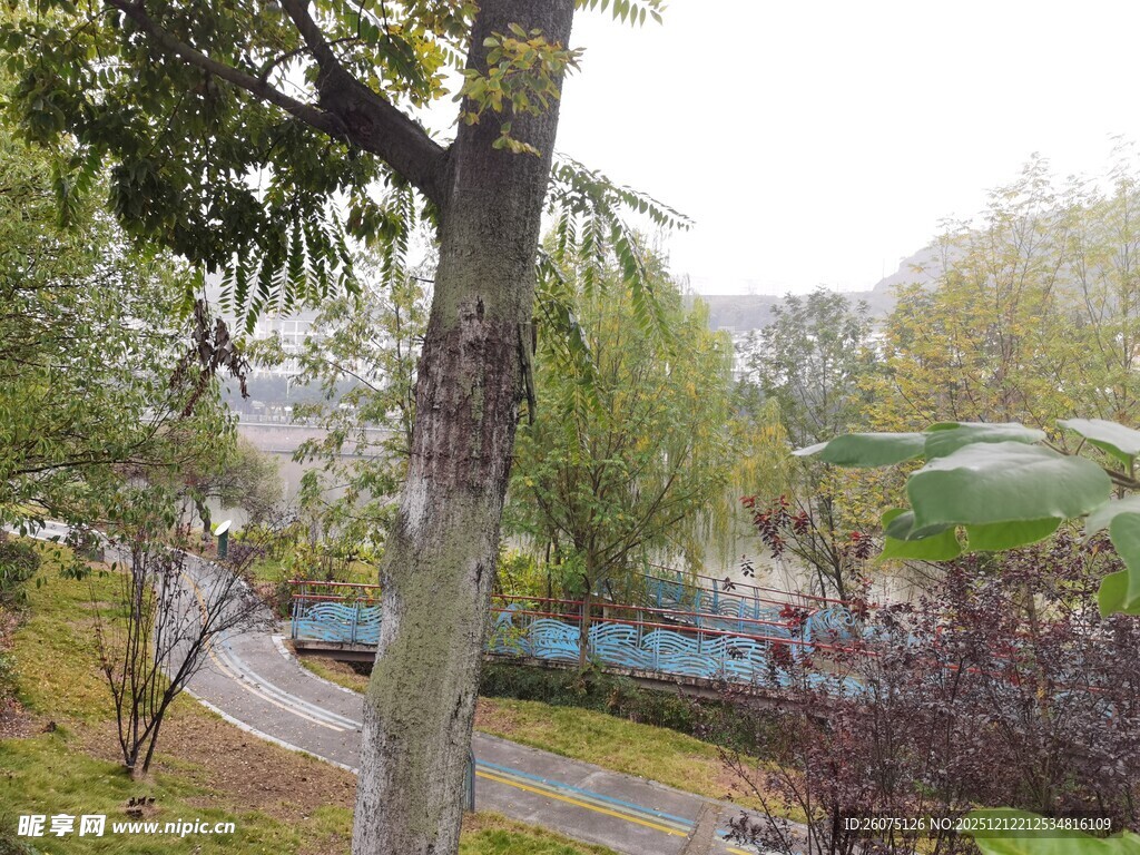 户外自然风光景观一角