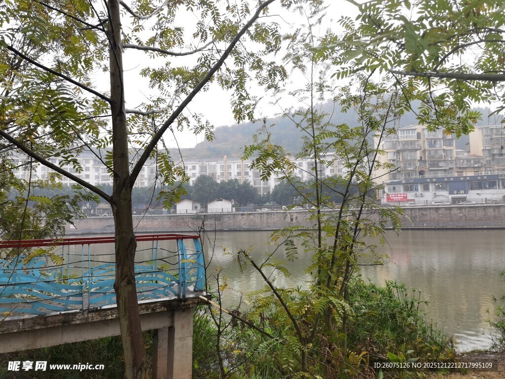 江边风景树木与城市远景