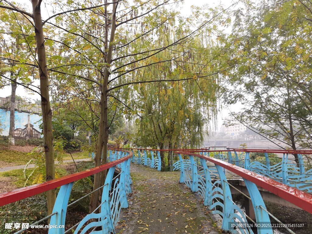 蓝色步道旁的树木风景