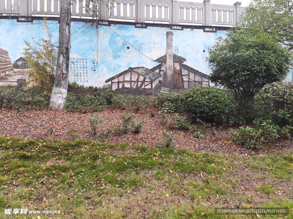 墙边绿植与彩绘景观