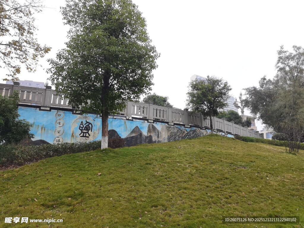 户外草地旁的彩色建筑