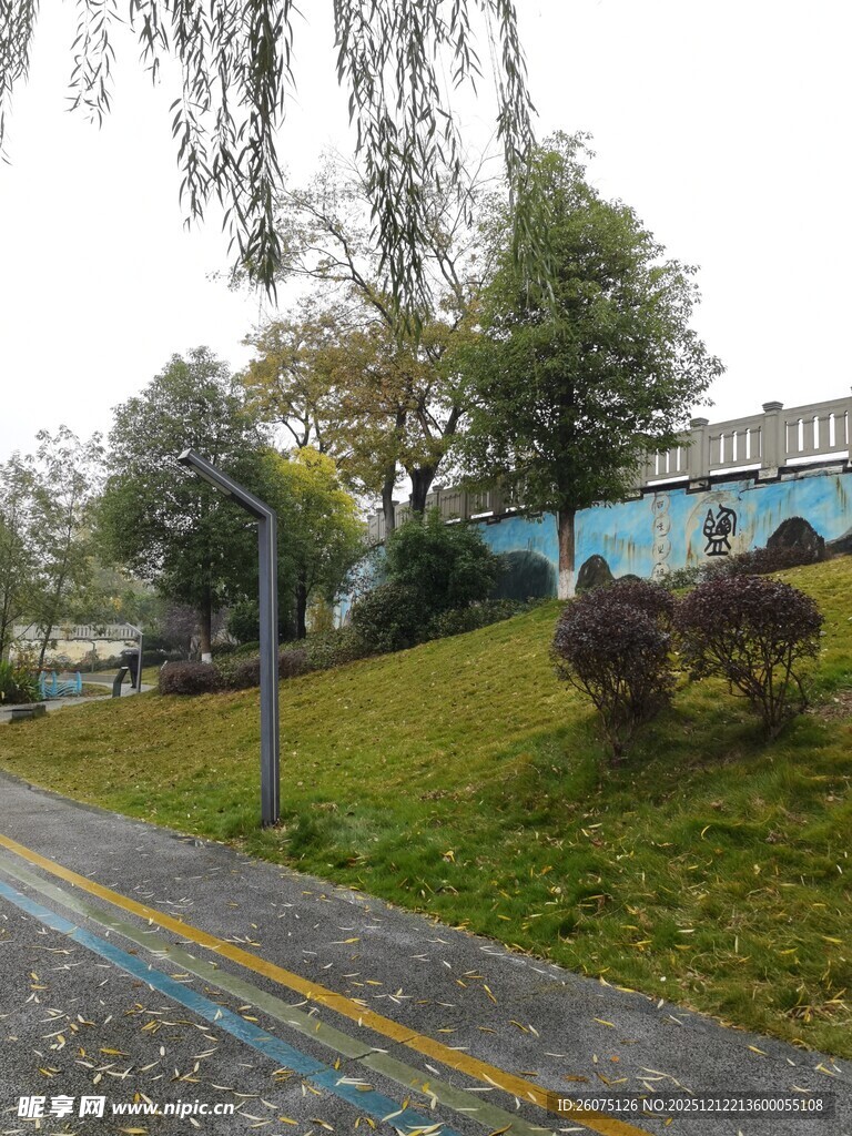 城市街边的绿植景观