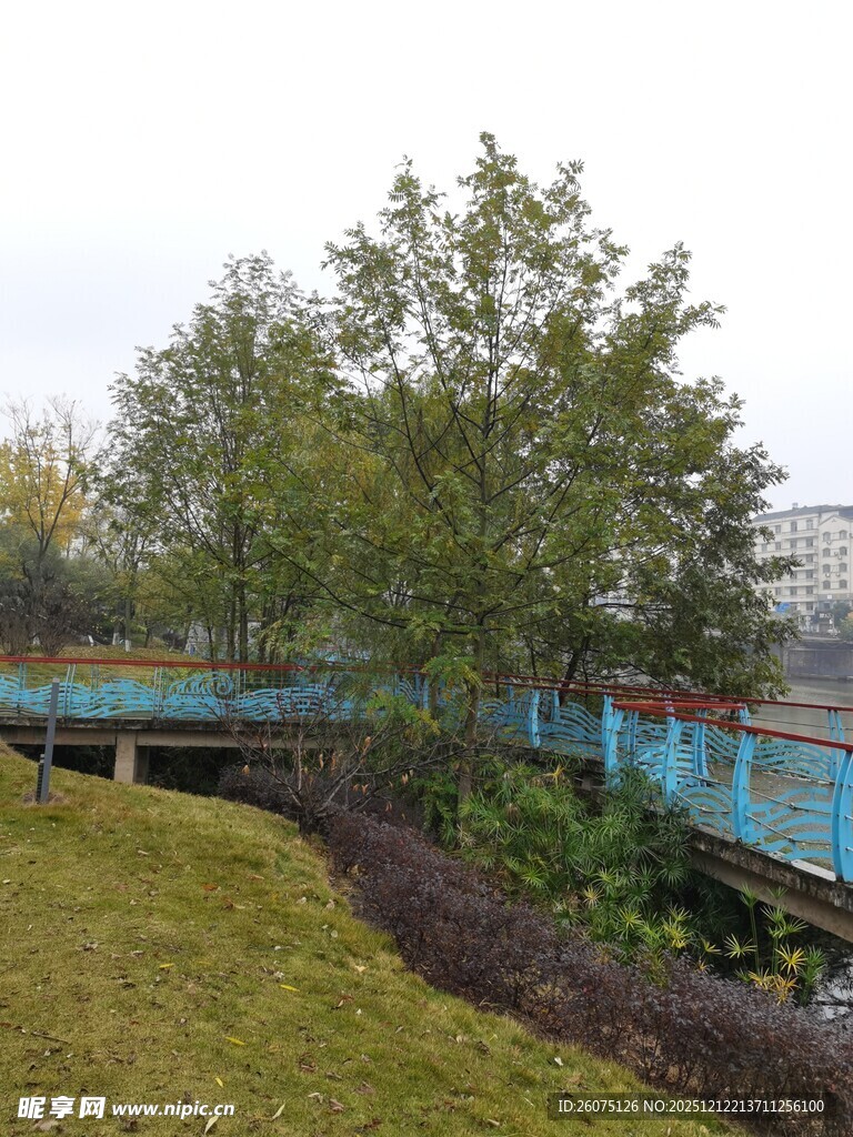 河畔蓝色步道与葱郁树木