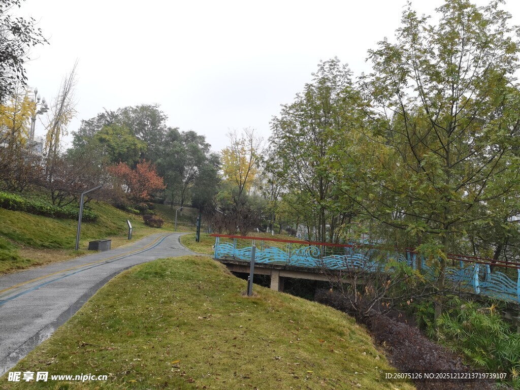 秋日公园小径与绿植景观