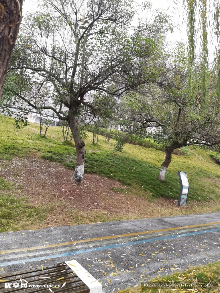 园林工人修整树木场景