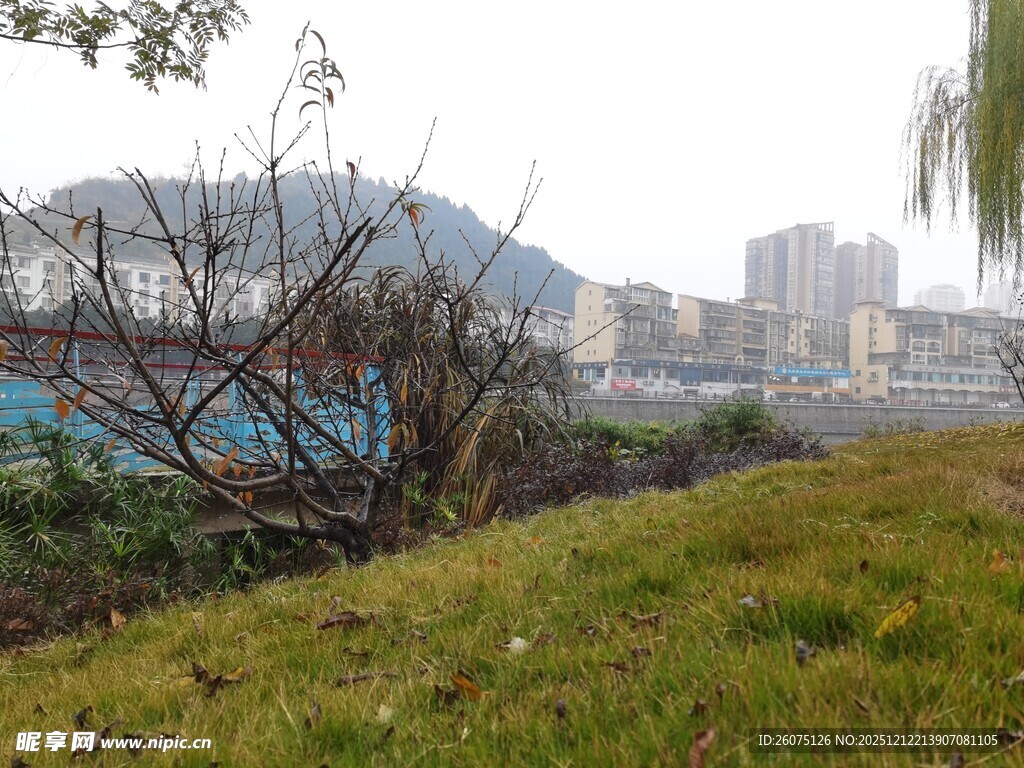 城市边的草地与远处建筑