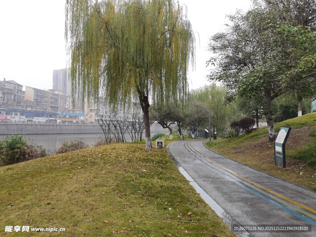 雨中河畔的漫步小径