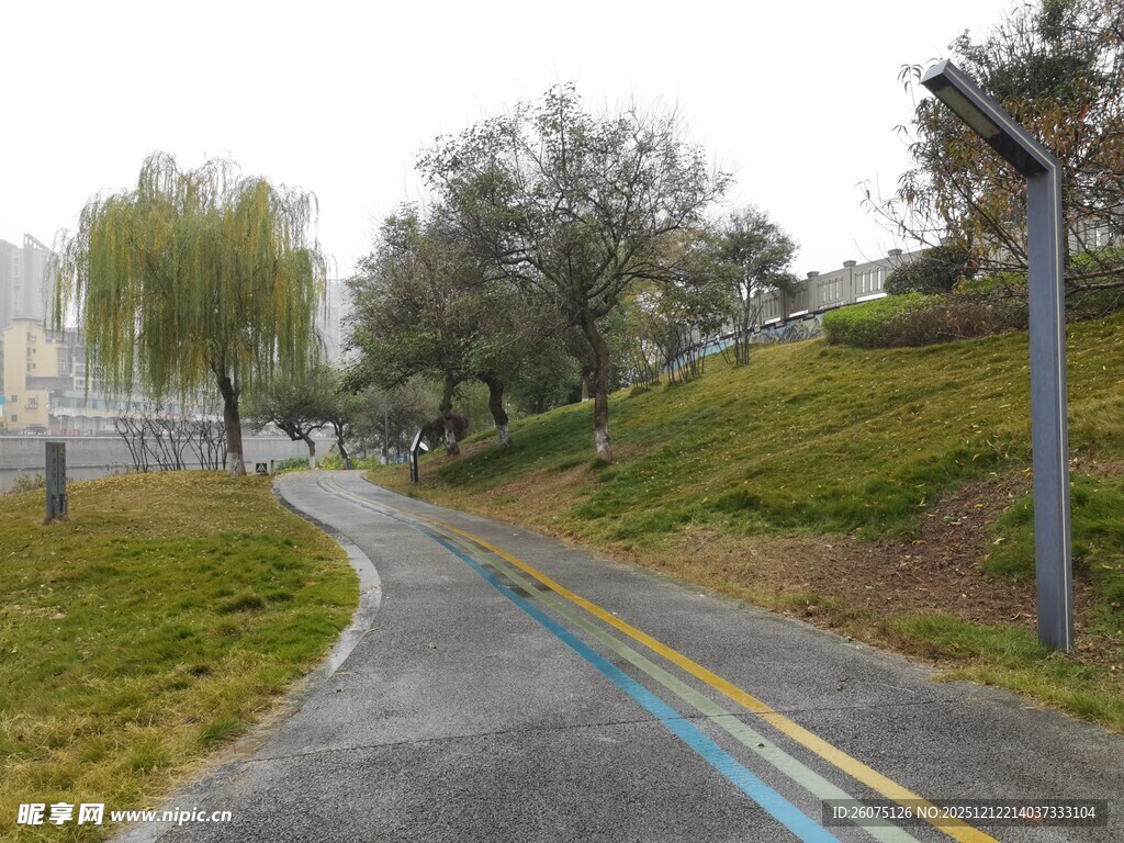 蜿蜒小路旁的绿意景致